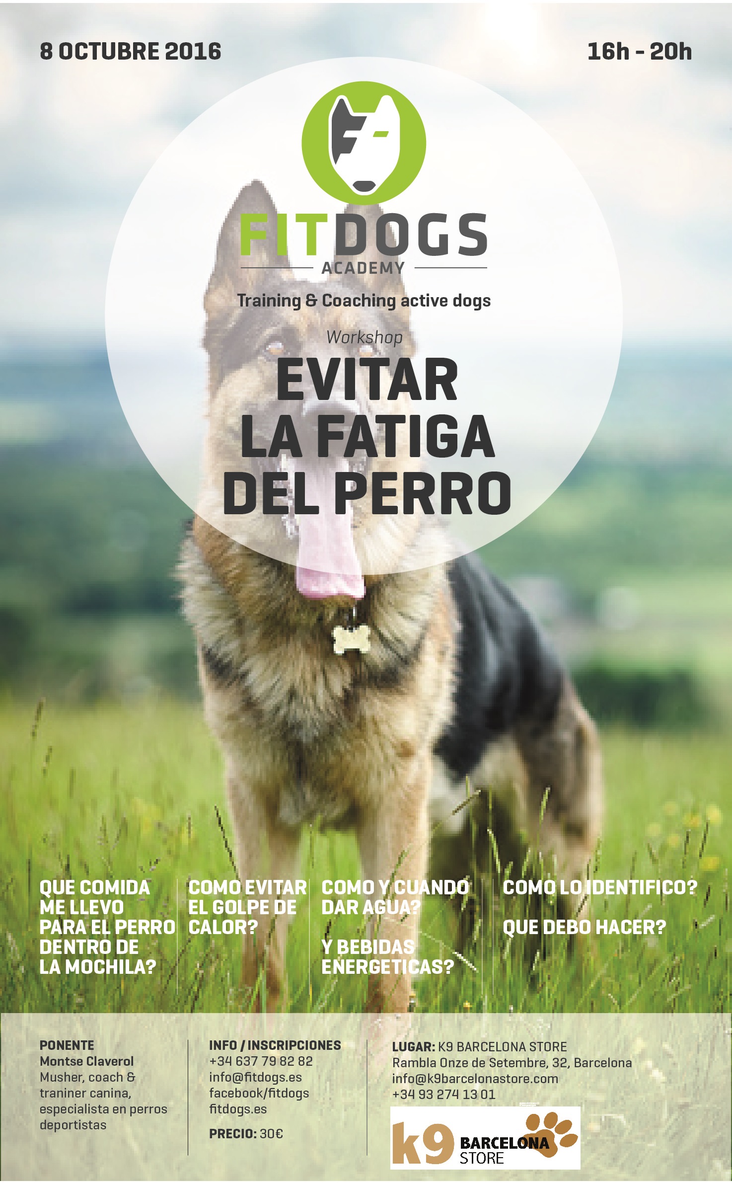 Cuidados para evitar que los perros sufran con el calor - Mestizos Magazine