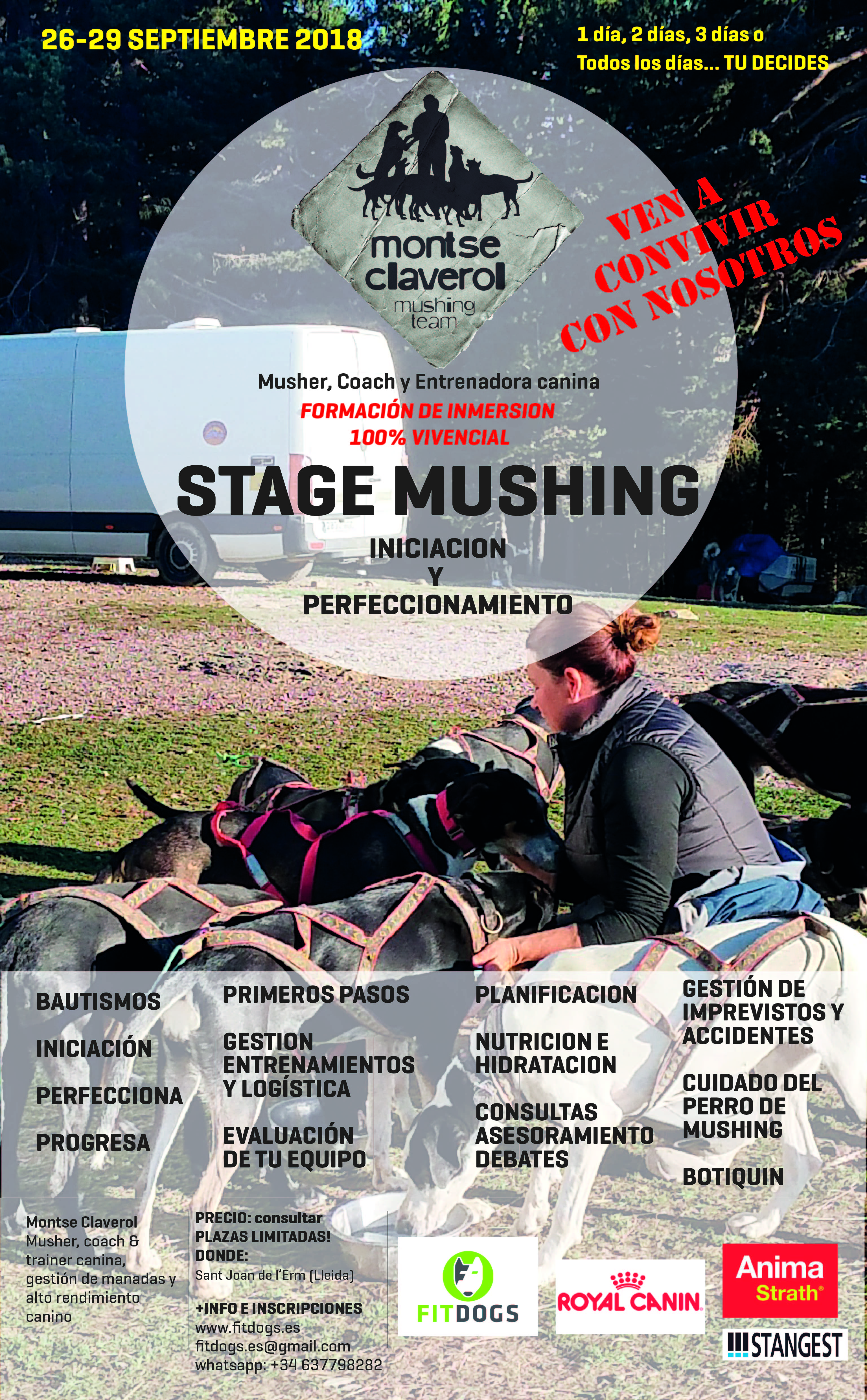 Poster STAGE MUSHING INMERSIÓN septiembre-01-01-01