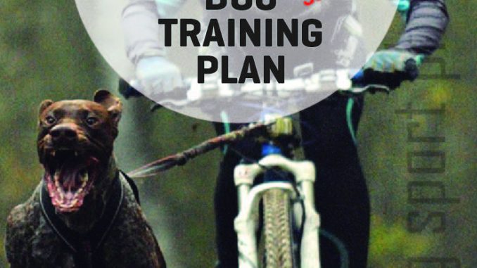 Poster Taller Dog Training Plan Agosto-01