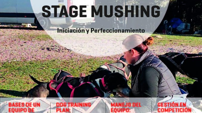 Poster Workshop COMO SER MUSHER Y SOBREVIVIR PARA CONTARLO SEPTIEMBRE 2019 inmersión-01-01